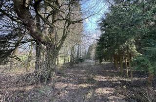 Grundstück zu kaufen in 83547 Babensham, Brennholz aus eigenem Wald