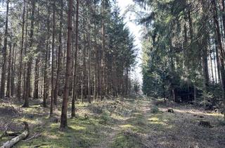 Grundstück zu kaufen in 83547 Babensham, Brennholz aus eigenem Wald