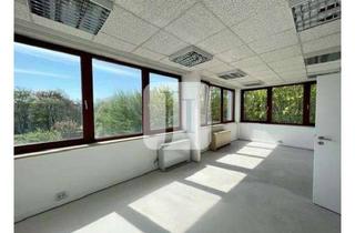 Büro zu mieten in 22453 Groß Borstel, lichtdurchflutete, renovierte Büroflächen ab ca. 100 m² bis ca. 150 m²