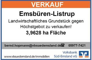 Immobilie kaufen in 48488 Emsbüren, landwirtschaftliches Grundstück gegen Höchstgebot