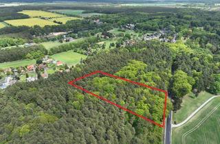 Gewerbeimmobilie kaufen in 02953 Gablenz, Stattlicher Laubmischwald - am Kromlauer Park - ca. 1,2 ha