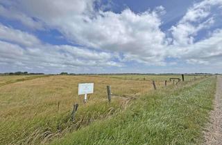 Gewerbeimmobilie kaufen in 25980 Sylt, Naturgrundstück in exklusiver Alleinlage auf Sylt - seltenes Potenzial mit Öko-Bonus