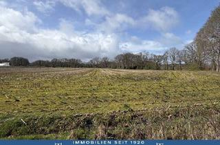 Gewerbeimmobilie kaufen in 26215 Wiefelstede, rd. 3,2 ha Acker- und Grünlandflächen in Wiefelstede/Neuenkruge