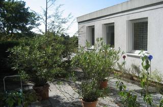 Haus mieten in Sudetenstraße 10, 86609 Donauwörth, Viel Freiraum: Großzügiges Haus in Donauwörth