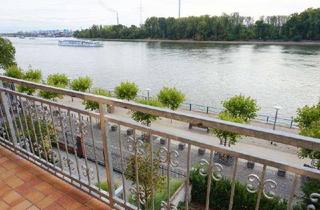 Haus mieten in 65203 Biebrich, Big 1-2 family house by the rhein river in Wiesbaden Biebrich