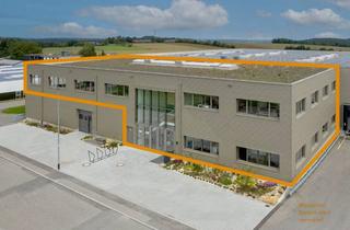 Gewerbeimmobilie mieten in 72351 Geislingen, FIRMENZENTRALE, PRODUKTION, LAGER: Binsdorf
