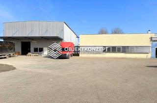 Büro zu mieten in 78315 Radolfzell, Logistikstandort mit Hochregallager, Büro und Kaltlager verfügbar