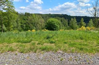 Grundstück zu kaufen in 57258 Freudenberg, Baugrundstück in Freudenberg OT Mausbach in traumhafter Lage im Grünen