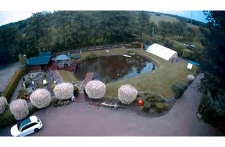 Einfamilienhaus kaufen in 26524 Hage, Hage - Einfamilienhaus,Pferdeboxen,Schwimmbad,Sauna,Teich Nähe Norddeich
