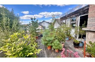Wohnung kaufen in 63825 Schöllkrippen, Schöllkrippen - individuelle 3-Zimmer Wohnung in Sommerkahl
