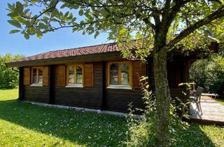 Haus kaufen in 72534 Hayingen, Hayingen - vollausgestattetes Ferienhaus in Hayingen