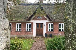 Bauernhaus kaufen in 34260 Kaufungen, Kaufungen - verkaufe Bauernhaus mit großem Grundstück, Nähe von HaderslevDk