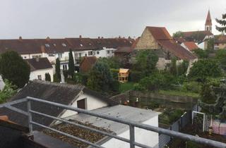 Wohnung mieten in 68723 Oftersheim, Exklusive, möblierte 1,5 Zimmerwohnung , 58qm mit Balkon