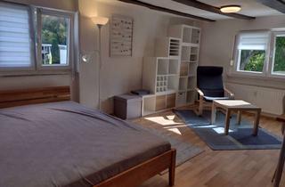 Wohnung mieten in 57074 Siegen, Apartment 1 ZKB vollmöbliert in Siegen-Breitenbach