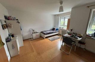 WG-Zimmer mieten in Breiter Weg 66, 76829 Queichheim, Großes Zimmer in gemütlicher 4er Frauen-WG , Warmmiete 370€ , Bad Dusche, Küche, Waschküche
