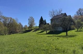 Haus kaufen in 09661 Striegistal, Schönes Eigenheim mit großem, ländlichem Anwesen - auch als Zweifamilienhaus nutzbar