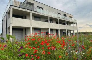 Wohnung kaufen in 97215 Uffenheim, 2,5-Zimmer Gartenwohnung nahe historischen Stadtzentrum