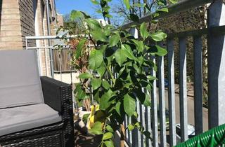 Wohnung kaufen in Schellingstraße 29, 22089 Eilbek, Exklusive 4-Raum-Wohnung mit gehobener Innenausstattung mit Balkon und Einbauküche in Hamburg Eilbek