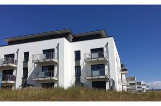 Wohnung mieten in 65451 Kelsterbach, Moderne 2-Zimmer-Wohnung mit TG-Stellplatz und EBK, Süd Balkon - Nähe Flughafen Frankfurt.