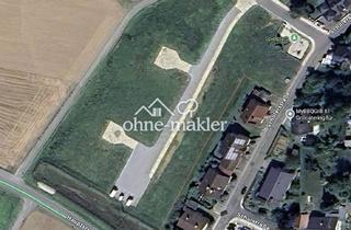 Grundstück zu kaufen in 74921 Helmstadt-Bargen, Grundstück in Helmstadt-Bargen - provisionsfrei