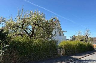 Einfamilienhaus kaufen in 31812 Bad Pyrmont, Einfamilienhaus am Königsberg