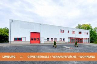 Gewerbeimmobilie kaufen in 65549 Limburg, GEWERBE-GRUNDSTÜCK mit 770 m² HALLE und VERKAUFSFLÄCHE + 207 m² WERKS-WOHNUNG