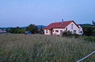 Einfamilienhaus kaufen in 72131 Ofterdingen, Ofterdingen - Wohnhaus, Bauplatz und Offenstall zur Pferdehaltung am Haus, 19ar