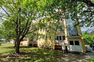 Wohnung mieten in Braunsdorfer Str. 18, 06886 Lutherstadt Wittenberg, Zwei Zimmer Appartement zum wohlfühlen - sonnig gelegen in Apollensdorf!