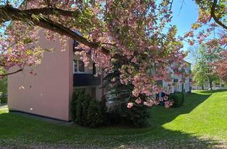 Wohnung mieten in Franzstraße, 34560 Fritzlar, Helle 2-Zimmer-Wohnung in Fritzlar