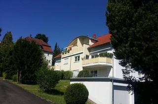 Wohnung mieten in 36381 Schlüchtern, Gepflegte 3-Zimmer-Dachgeschosswohnung in Schlüchtern