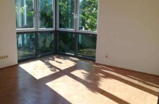 Wohnung mieten in Belvederer Allee 51 A, 99425 Südstadt, Gepflegte 2-Zimmer-Wohnung im 1. OG in Weimar-Südstadt