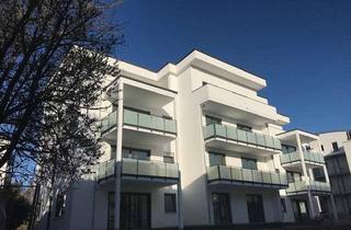 Wohnung mieten in Ilse-Graulich-Weg, 72810 Gomaringen, Moderne, helle 2-Zimmer-Wohnung im DG zu vermieten