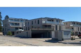 Wohnung mieten in Lauterbachstrasse 14, 84307 Eggenfelden, Neubau- Zentrale 2 Zimmerwohnung in Eggenfelden zu vermieten Obermühle