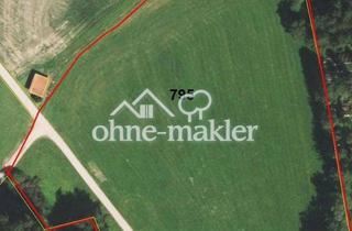 Grundstück zu kaufen in 83137 Schonstett, Grundstück 17.070 m² für landwirtschaftliche Nutzung in Schonstett, Bayern