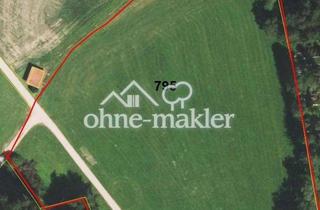 Grundstück zu kaufen in 83137 Schonstett, Grundstück 17.070 m² für landwirtschaftliche Nutzung in Schonstett, Bayern