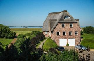 Haus kaufen in 25348 Glückstadt, Reetgedecktes Warfthaus mit Elbblick in traumhafter Lage