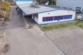 Gewerbeimmobilie mieten in Siedlungstraße 18, 76863 Herxheim, Sehr helle Halle, größtenteils gefliest, das Objekt diente bis 11.2025 zur Prod. v Laugengebäck