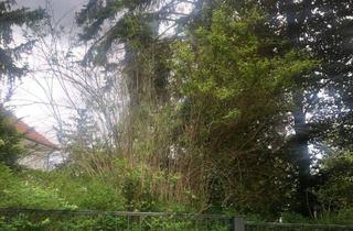 Grundstück zu kaufen in 14193 Grunewald, Grunewaldlage, Ruhigidylle, ca. 1.167,00 qm, Abrisshaus ! Unter Bodenrichtwert !