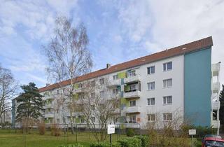 Wohnung mieten in Vogelweide 41, 06130 Südstadt, 2-Raumwohnung mit großer Wohnküche