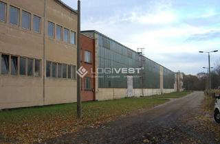 Gewerbeimmobilie mieten in 16225 Eberswalde, Große Lager- und Produktionshalle mit 2.000 m²