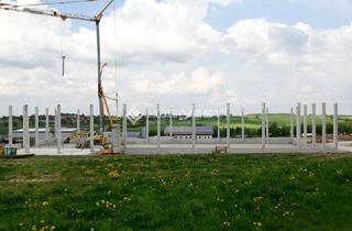 Gewerbeimmobilie mieten in 17126 Jarmen, Projektierter Neubau einer Lager- und Logistikhalle