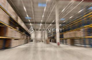 Gewerbeimmobilie mieten in 75223 Niefern-Öschelbronn, *Provisionsfrei* Logistikfläche direkt an der A8 | Top-Logistikregion Stuttgart