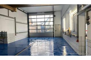 Büro zu mieten in 86879 Wiedergeltingen, 4km westlich von Buchloe: Werkstatt / Halle, offene Bürofläche,Hobbyraum,Lager,Unterstellfläche,Par
