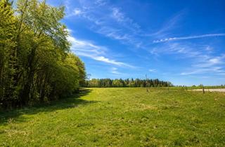 Grundstück zu kaufen in 84107 Weihmichl, Sonniges Baugrundstück in ruhiger Waldrandlage – unverbaubarer Naturblick & kein Bauzwang