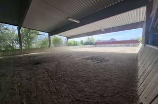 Immobilie mieten in 86879 Wiedergeltingen, Gewerbe- und Landwirtschaftsfläche ca.2,6 ha/26.000 m² und Pferdestallungen