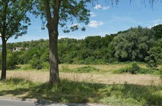 Wohnung kaufen in 34128 Kassel, Kassel - Kassel-Jungfernkopf - Gartenwohnung in zentraler und ruhiger Lage
