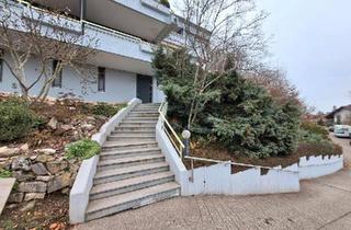 Wohnung kaufen in 79761 Waldshut-Tiengen, Waldshut-Tiengen - Waldshut-Tiengen 3,5 Zimmer Rheinblick