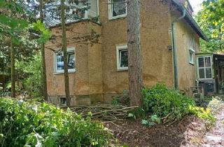 Haus kaufen in 07546 Gera, Gera - Traumhaus mit großem Grundstück