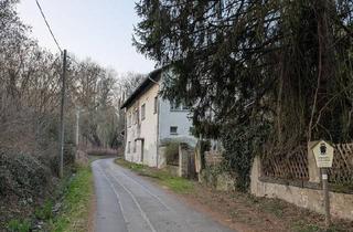 Haus kaufen in 01640 Coswig, Coswig - Einzigartiges Anwesen mit 2,2 ha Grundstück & Einliegerwohnung
