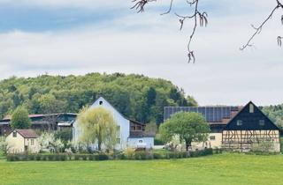 Mehrfamilienhaus kaufen in Hetzendorf, 91282 Betzenstein, Modernisiertes Mehrfamilienhaus mit Nebengebäuden in idyllischer Lage mit 4,3 h großem Anwesen